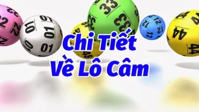 Lô câm: Chiến thuật hiệu quả để tối ưu hóa chiến thắng