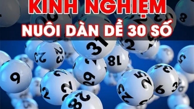 Dàn đề 30 số - Chuyên gia bật mí cách soi số đơn giản nhất