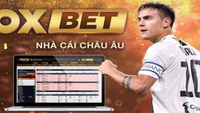 Oxbet - Sân chơi cá cược đỉnh cao hàng đầu trong năm 2024